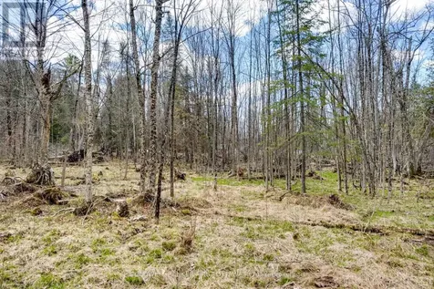621 North Shore Rd Road Lanark Highlands ON K0G 1M0