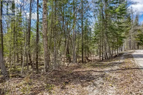 621 North Shore Rd Road Lanark Highlands ON K0G 1M0