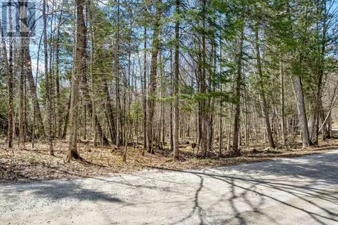 621 North Shore Rd Road Lanark Highlands ON K0G 1M0
