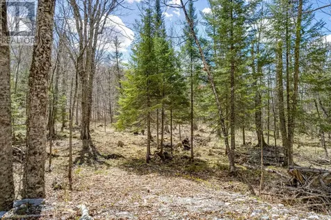 621 North Shore Rd Road Lanark Highlands ON K0G 1M0