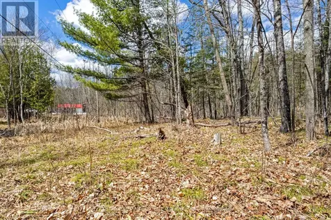 621 North Shore Rd Road Lanark Highlands ON K0G 1M0