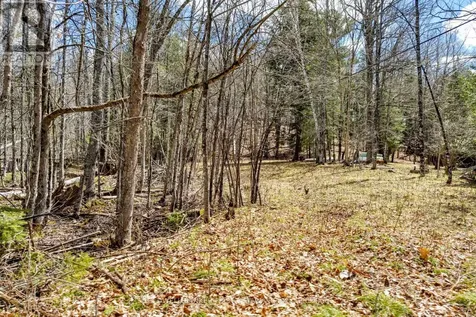 621 North Shore Rd Road Lanark Highlands ON K0G 1M0