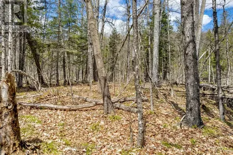 621 North Shore Rd Road Lanark Highlands ON K0G 1M0