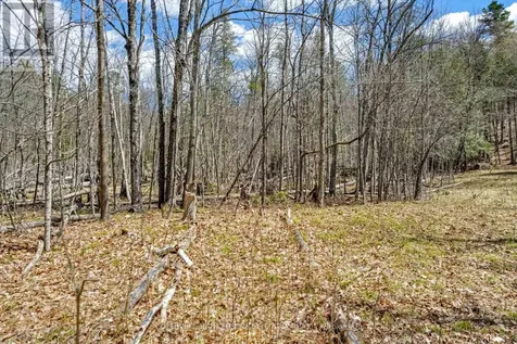 621 North Shore Rd Road Lanark Highlands ON K0G 1M0