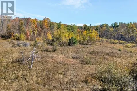 14794 Hwy 62 Highway Madoc ON K0K 2K0