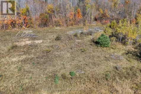 14794 Hwy 62 Highway Madoc ON K0K 2K0