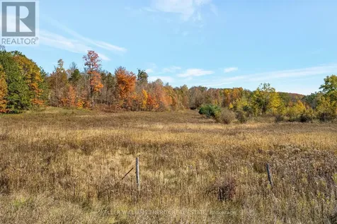 14794 Hwy 62 Highway Madoc ON K0K 2K0