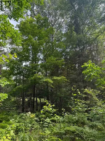 1791 Alsace Road Nipissing ON P0H 1Z0