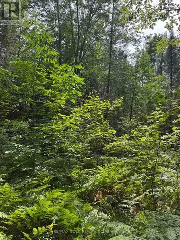 1791 Alsace Road Nipissing ON P0H 1Z0