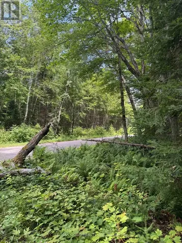 1791 Alsace Road Nipissing ON P0H 1Z0