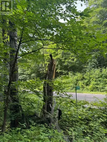 1791 Alsace Road Nipissing ON P0H 1Z0