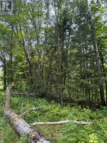 1791 Alsace Road Nipissing ON P0H 1Z0