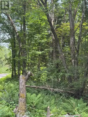 1791 Alsace Road Nipissing ON P0H 1Z0
