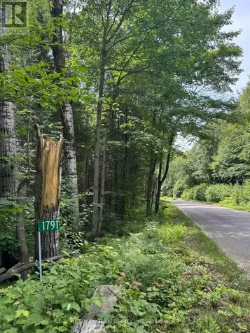 1791 Alsace Road Nipissing ON P0H 1Z0