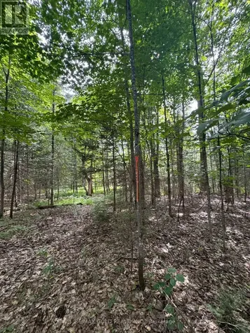 1791 Alsace Road Nipissing ON P0H 1Z0