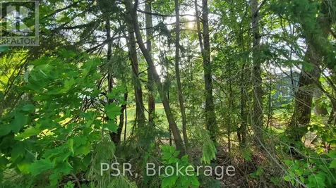 Lot 59 47th Street South Wasaga Beach ON L9Z 1Y6