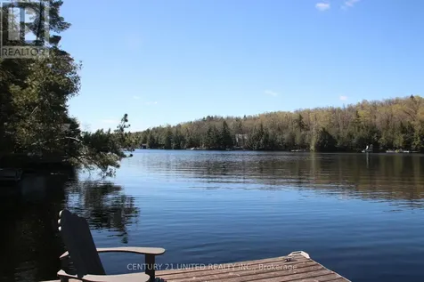 812 Island 8 Catchacoma Lake Trent Lakes ON K0L 1J0