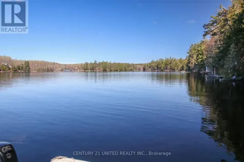 812 Island 8 Catchacoma Lake Trent Lakes ON K0L 1J0