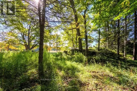 290 Clarke's Road Northern Bruce Peninsula ON N0H 1W0