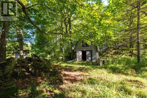 290 Clarke's Road Northern Bruce Peninsula ON N0H 1W0