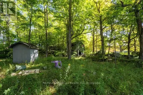 290 Clarke's Road Northern Bruce Peninsula ON N0H 1W0