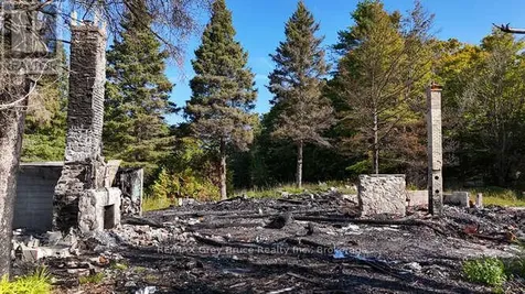 290 Clarke's Road Northern Bruce Peninsula ON N0H 1W0