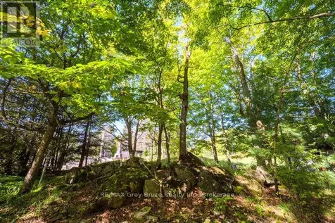 290 Clarke's Road Northern Bruce Peninsula ON N0H 1W0