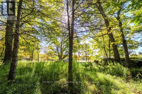 290 Clarke's Road Northern Bruce Peninsula ON N0H 1W0