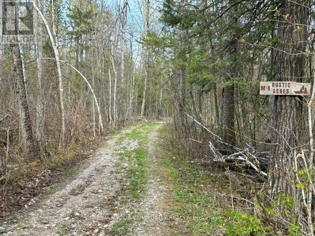 Pt Lot 20 Bessie Avenue North Trent Lakes ON K0M 1A0
