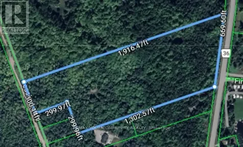 Pt Lot 20 Bessie Avenue North Trent Lakes ON K0M 1A0