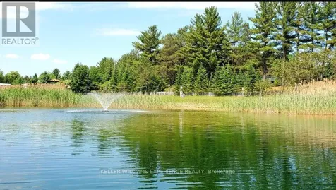 5216 County 90 Road Springwater ON L0M 1T0