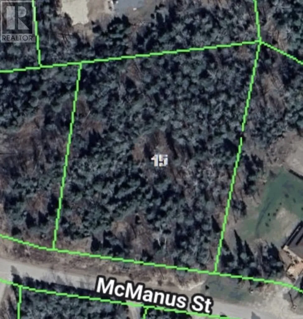 15 Mcmanus Street Balmertown ON P0V 1C0