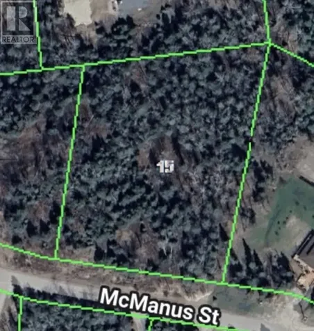 15 Mcmanus Street Balmertown ON P0V 1C0