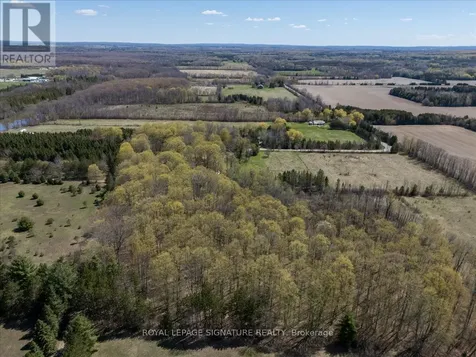 174 Freethy Road Wasaga Beach ON L9Z 2W8