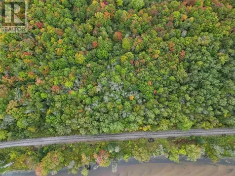 . Mississagi Bay Road Huron Shores ON P0R 1H0