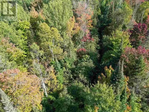 . Mississagi Bay Road Huron Shores ON P0R 1H0