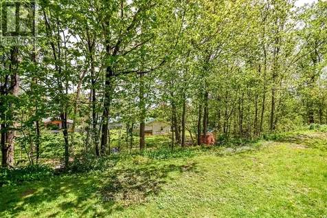 492 Laclie Street Orillia ON L3V 7V2