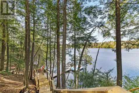 50 Fire Route 328a Trent Lakes ON K0L 1J0
