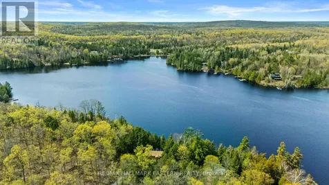 50 Fire Route 328a Trent Lakes ON K0L 1J0