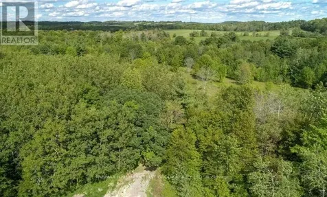 0 Trenear Road North Cramahe ON K0K 1S0