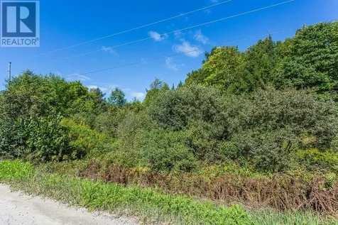 728 Basswood Lake Road Thessalon ON P0R 1L0