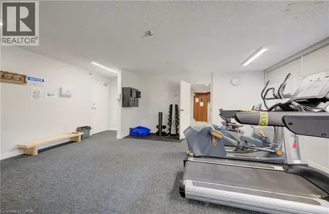 3590 Kaneff Crescent Mississauga ON L5A 3X3