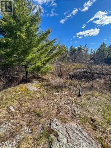 Pcl 7561 Pickerel River Killarney ON P0M 2A0
