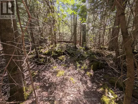 Lot 10 Trillium Crossing Northern Bruce Peninsula ON N0H 1W0