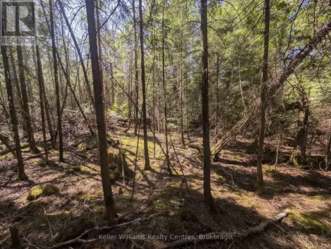 Lot 10 Trillium Crossing Northern Bruce Peninsula ON N0H 1W0