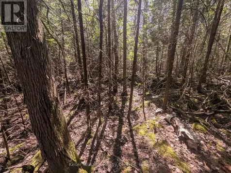 Lot 10 Trillium Crossing Northern Bruce Peninsula ON N0H 1W0