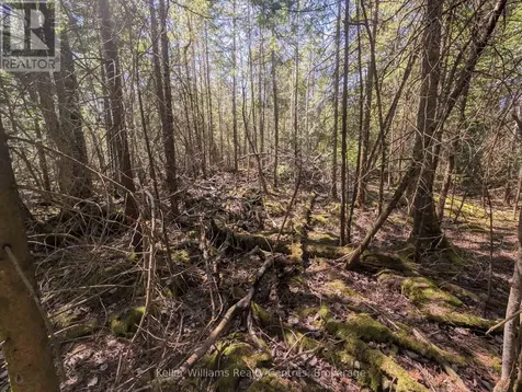 Lot 10 Trillium Crossing Northern Bruce Peninsula ON N0H 1W0