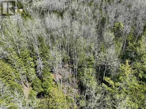 Lot 10 Trillium Crossing Northern Bruce Peninsula ON N0H 1W0