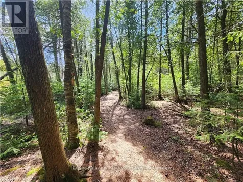 Lot 10 Trillium Crossing Northern Bruce Peninsula ON N0H 1W0