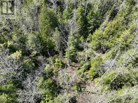Lot 10 Trillium Crossing Northern Bruce Peninsula ON N0H 1W0